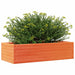 Jardinieră de grădină, maro ceruit, 90x40x23 cm, lemn masiv pin - WALTI WALTI