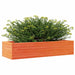 Jardinieră de grădină, maro ceruit, 110x40x23 cm lemn masiv pin - WALTI WALTI