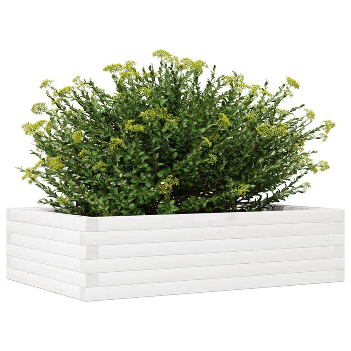 Jardinieră de grădină, alb, 90x60x23 cm, lemn masiv de pin - WALTI WALTI