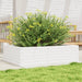 Jardinieră de grădină, alb, 90x60x23 cm, lemn masiv de pin - WALTI WALTI