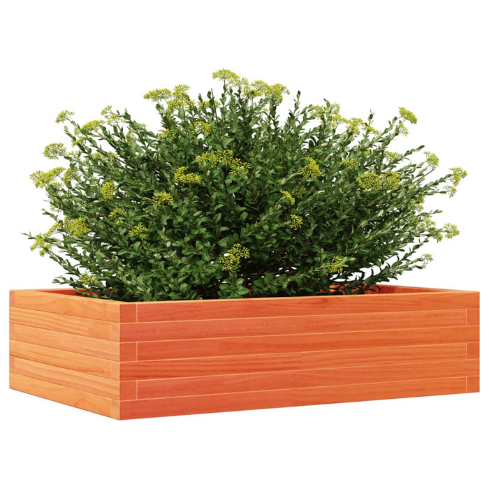 Jardinieră de grădină, maro ceruit, 90x60x23 cm, lemn masiv pin - WALTI WALTI