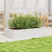 Jardinieră de grădină, alb, 110x60x23 cm, lemn masiv de pin - WALTI WALTI