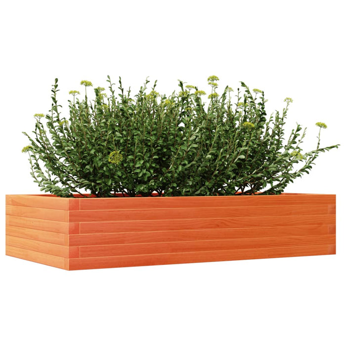 Jardinieră de grădină, maro ceruit, 110x60x23cm, lemn masiv pin - WALTI WALTI