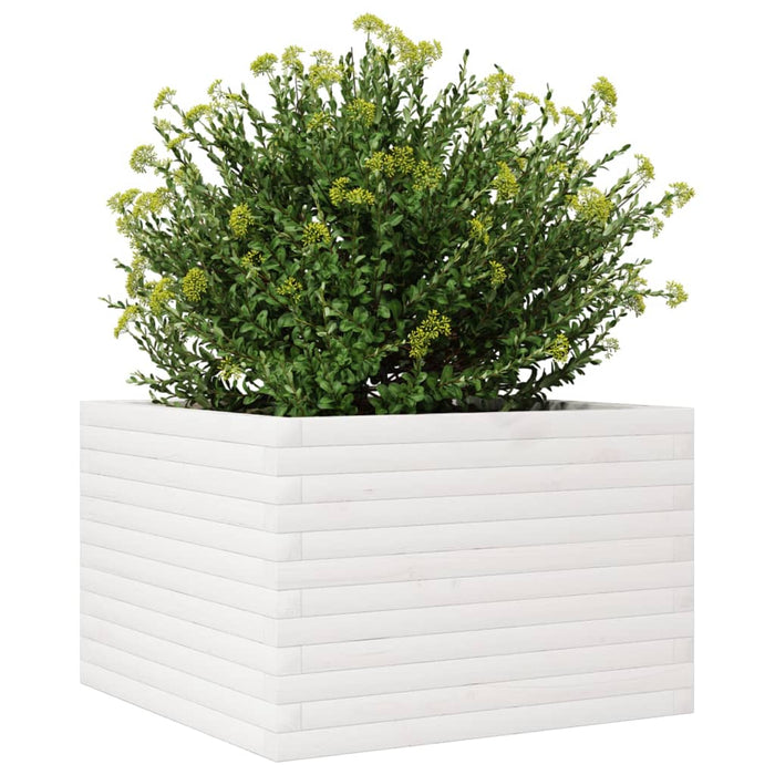 Jardinieră de grădină, alb, 70x70x45,5 cm, lemn masiv de pin - WALTI WALTI