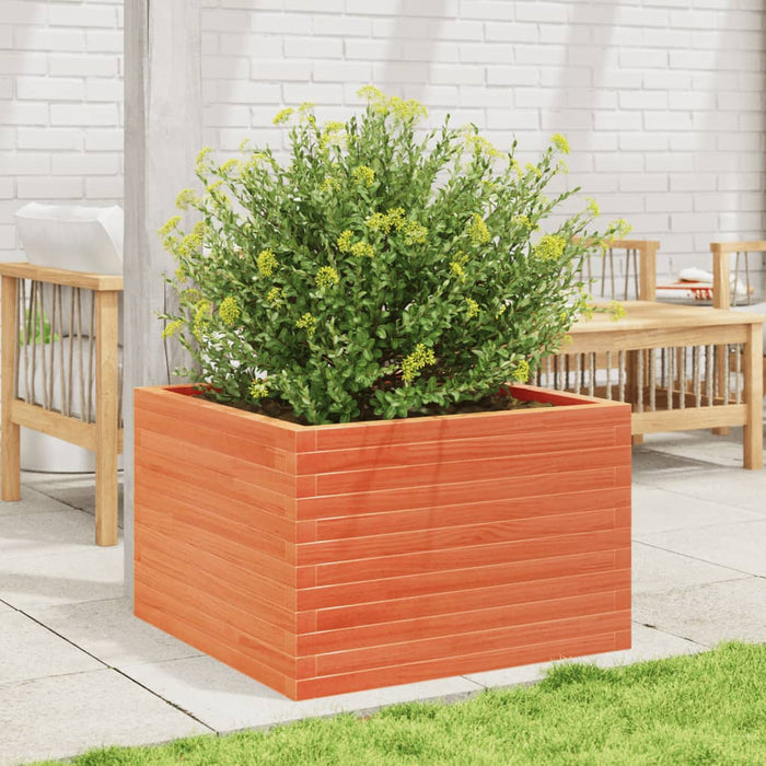 Jardinieră grădină, maro ceruit, 70x70x45,5 cm, lemn masiv pin - WALTI WALTI