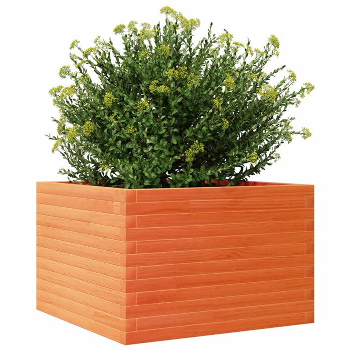 Jardinieră grădină, maro ceruit, 70x70x45,5 cm, lemn masiv pin - WALTI WALTI