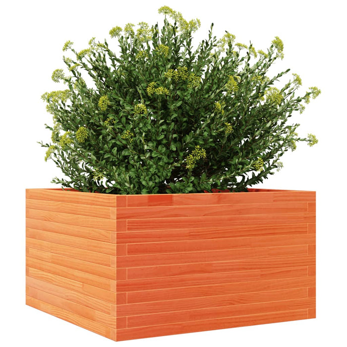 Jardinieră grădină, maro ceruit, 80x80x45,5 cm, lemn masiv pin - WALTI WALTI