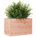 Jardinieră de grădină, 70x40x45,5 cm, lemn masiv Douglas - WALTI WALTI