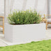 Jardinieră de grădină, alb, 110x60x45,5 cm, lemn masiv de pin - WALTI WALTI