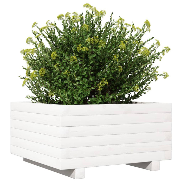 Jardinieră de grădină, alb, 50x50x26,5 cm, lemn masiv de pin - WALTI WALTI