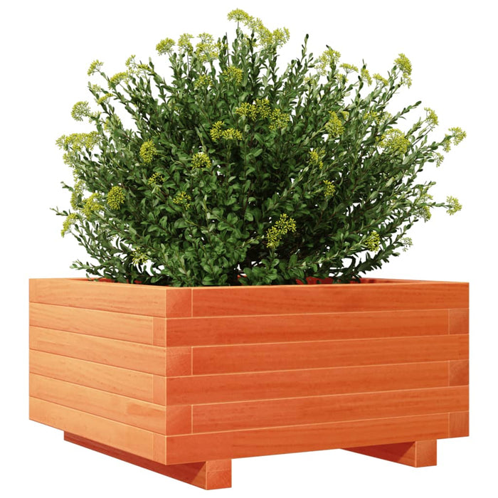 Jardinieră grădină, maro ceruit, 50x50x26,5 cm, lemn masiv pin - WALTI WALTI