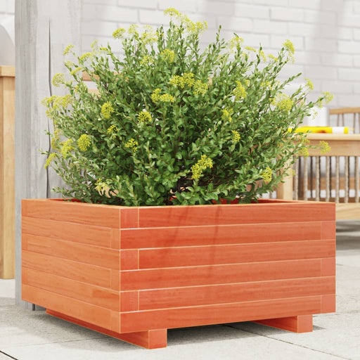 Jardinieră grădină, maro ceruit, 50x50x26,5 cm, lemn masiv pin - WALTI WALTI