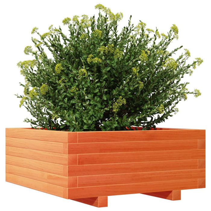 Jardinieră grădină, maro ceruit, 60x60x26,5 cm, lemn masiv pin - WALTI WALTI