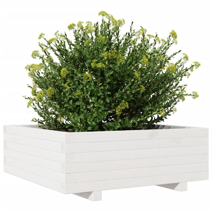 Jardinieră de grădină, alb, 70x70x26,5 cm, lemn masiv de pin - WALTI WALTI