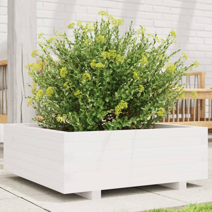 Jardinieră de grădină, alb, 70x70x26,5 cm, lemn masiv de pin - WALTI WALTI