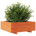 Jardinieră grădină, maro ceruit, 70x70x26,5 cm, lemn masiv pin - WALTI WALTI