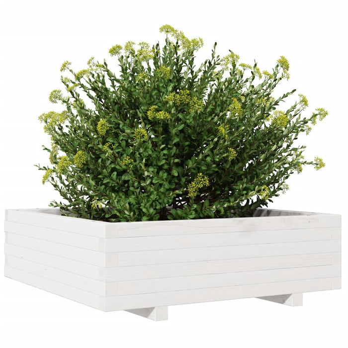 Jardinieră de grădină, alb, 80x80x26,5 cm, lemn masiv de pin - WALTI WALTI