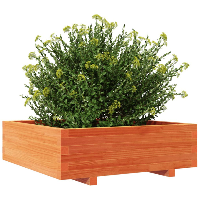Jardinieră grădină, maro ceruit, 80x80x26,5 cm, lemn masiv pin - WALTI WALTI