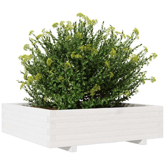 Jardinieră de grădină, alb, 90x90x26,5 cm, lemn masiv de pin - WALTI WALTI