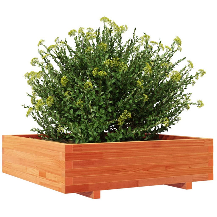 Jardinieră grădină, maro ceruit, 90x90x26,5 cm, lemn masiv pin - WALTI WALTI