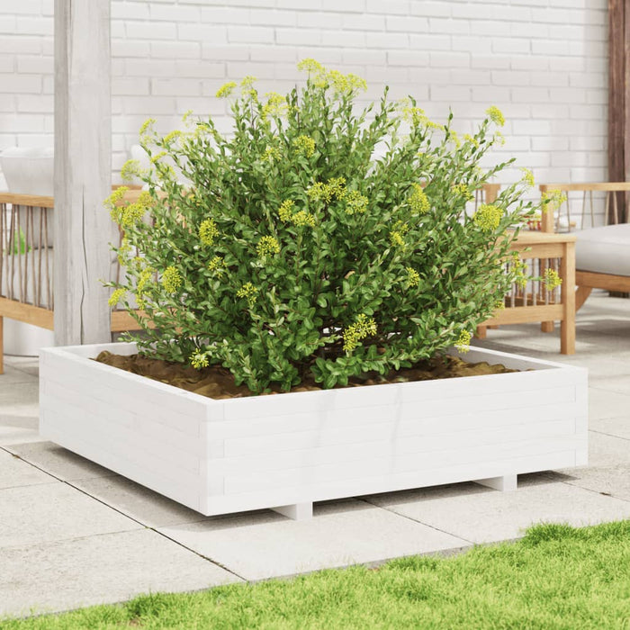 Jardinieră de grădină, alb, 100x100x26,5 cm, lemn masiv de pin - WALTI WALTI