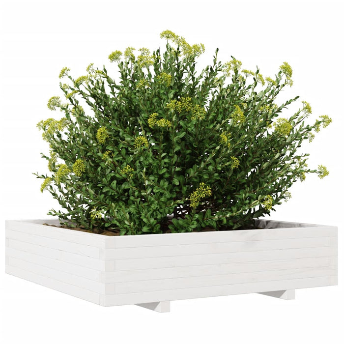 Jardinieră de grădină, alb, 100x100x26,5 cm, lemn masiv de pin - WALTI WALTI