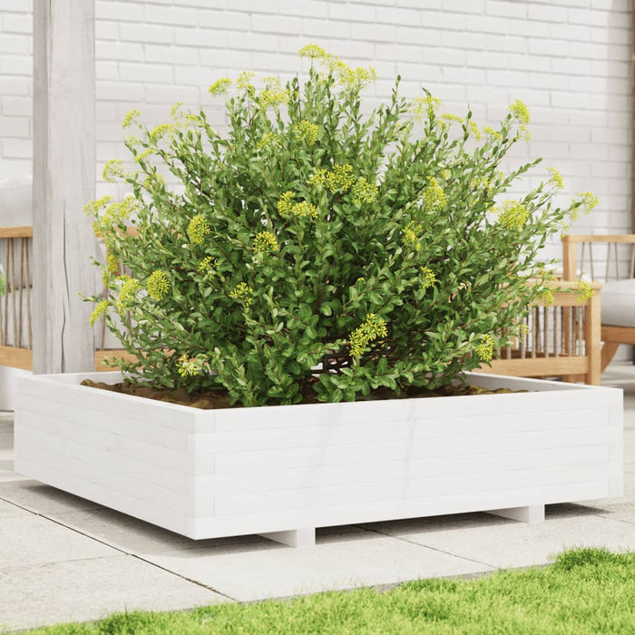 Jardinieră de grădină, alb, 100x100x26,5 cm, lemn masiv de pin - WALTI WALTI