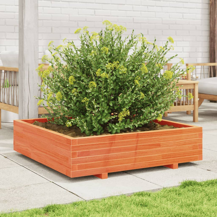 Jardinieră grădină, maro ceruit, 100x100x26,5cm, lemn masiv pin - WALTI WALTI