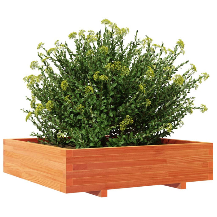 Jardinieră grădină, maro ceruit, 100x100x26,5cm, lemn masiv pin - WALTI WALTI
