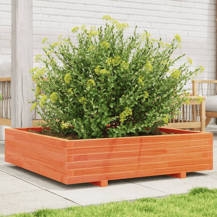 Jardinieră grădină, maro ceruit, 100x100x26,5cm, lemn masiv pin - WALTI WALTI
