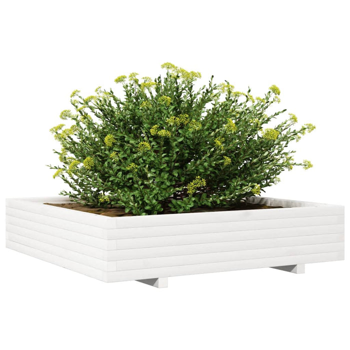 Jardinieră de grădină, alb, 110x110x26,5 cm, lemn masiv de pin - WALTI WALTI