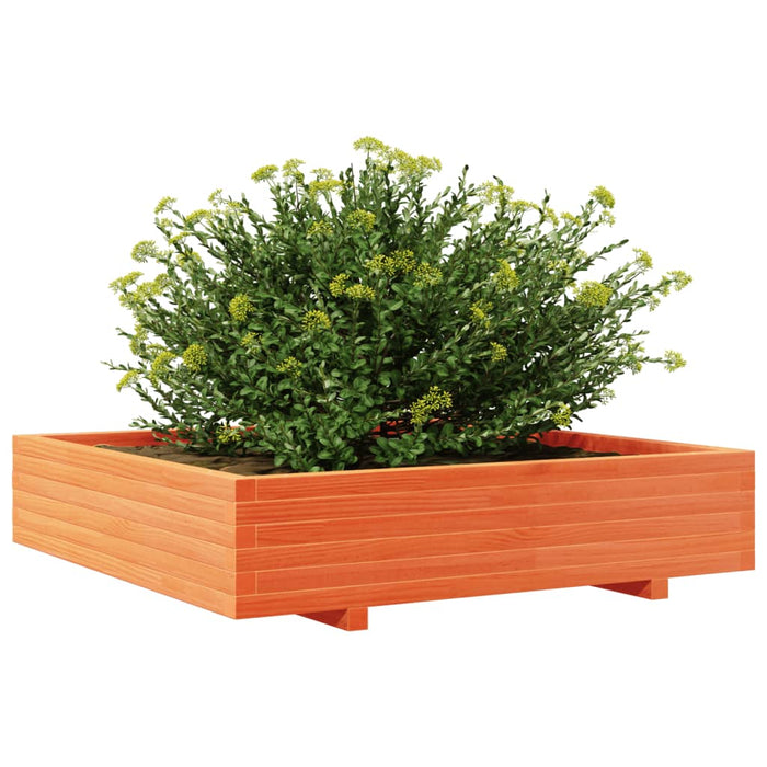 Jardinieră grădină, maro ceruit, 110x110x26,5cm, lemn masiv pin - WALTI WALTI