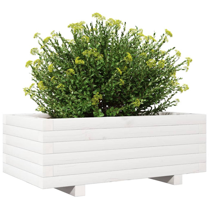 Jardinieră de grădină, alb, 70x40x26,5 cm, lemn masiv de pin - WALTI WALTI