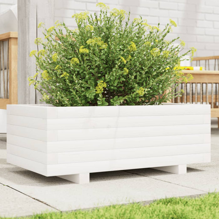 Jardinieră de grădină, alb, 70x40x26,5 cm, lemn masiv de pin - WALTI WALTI