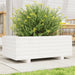 Jardinieră de grădină, alb, 70x40x26,5 cm, lemn masiv de pin - WALTI WALTI