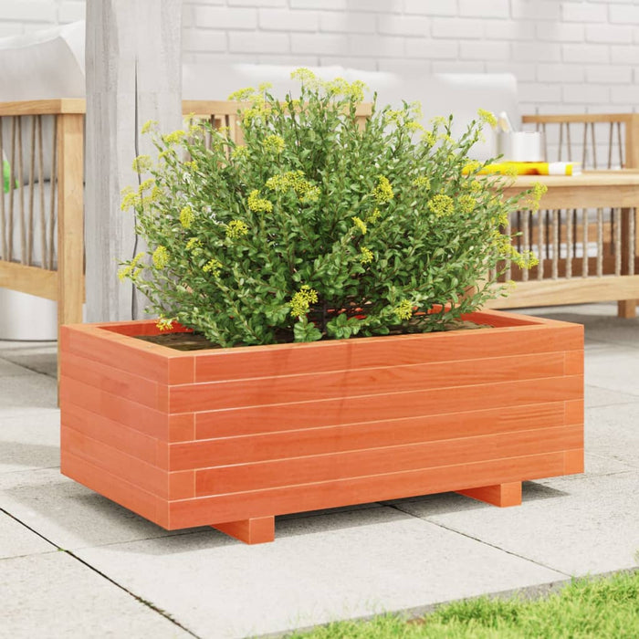Jardinieră grădină, maro ceruit, 70x40x26,5 cm, lemn masiv pin - WALTI WALTI