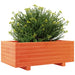 Jardinieră grădină, maro ceruit, 70x40x26,5 cm, lemn masiv pin - WALTI WALTI