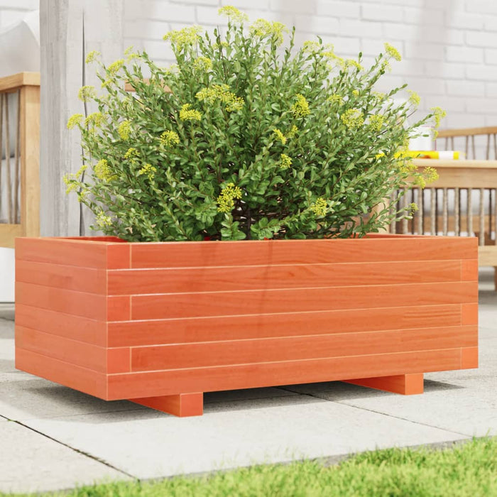 Jardinieră grădină, maro ceruit, 70x40x26,5 cm, lemn masiv pin - WALTI WALTI