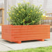 Jardinieră grădină, maro ceruit, 70x40x26,5 cm, lemn masiv pin - WALTI WALTI