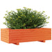 Jardinieră grădină, maro ceruit, 90x40x26,5 cm, lemn masiv pin - WALTI WALTI