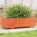 Jardinieră grădină, maro ceruit, 90x40x26,5 cm, lemn masiv pin - WALTI WALTI
