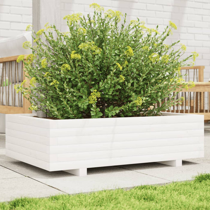Jardinieră de grădină, alb, 90x60x26,5 cm, lemn masiv de pin - WALTI WALTI