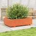 Jardinieră grădină, maro ceruit, 90x60x26,5 cm, lemn masiv pin - WALTI WALTI