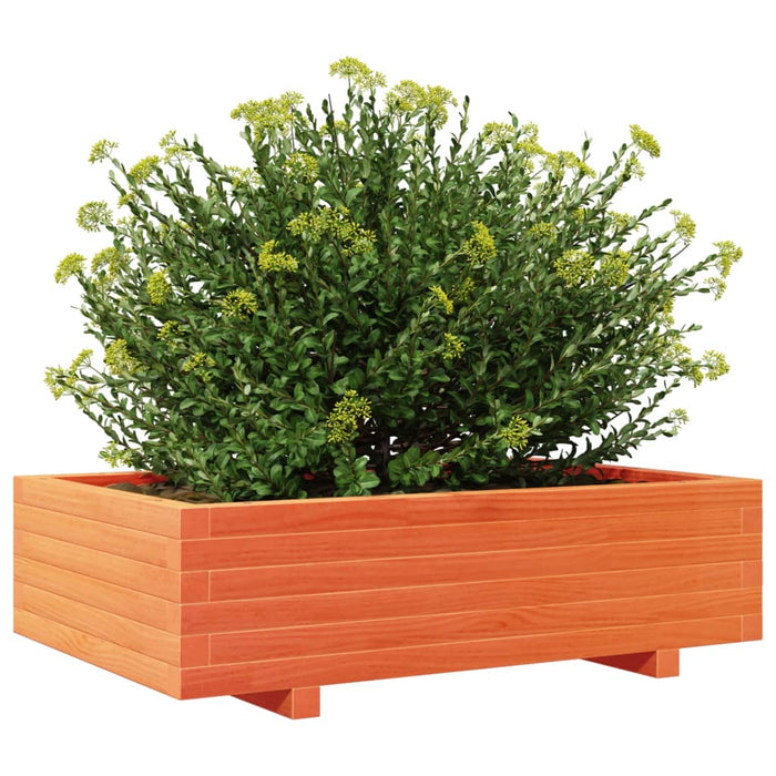 Jardinieră grădină, maro ceruit, 90x60x26,5 cm, lemn masiv pin - WALTI WALTI