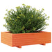 Jardinieră grădină, maro ceruit, 90x60x26,5 cm, lemn masiv pin - WALTI WALTI