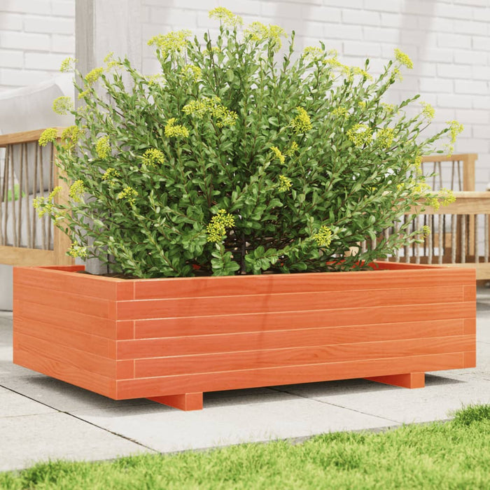 Jardinieră grădină, maro ceruit, 90x60x26,5 cm, lemn masiv pin - WALTI WALTI