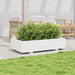 Jardinieră de grădină, alb, 110x60x26,5 cm, lemn masiv de pin - WALTI WALTI