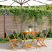 Set mobilier bistro, 3 piese, textil antracit/lemn masiv - WALTI WALTI