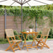 Set mobilier bistro, 3 piese, poliratan bej/lemn masiv - WALTI WALTI