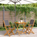 Set mobilier bistro, 3 piese, textil antracit/lemn masiv - WALTI WALTI
